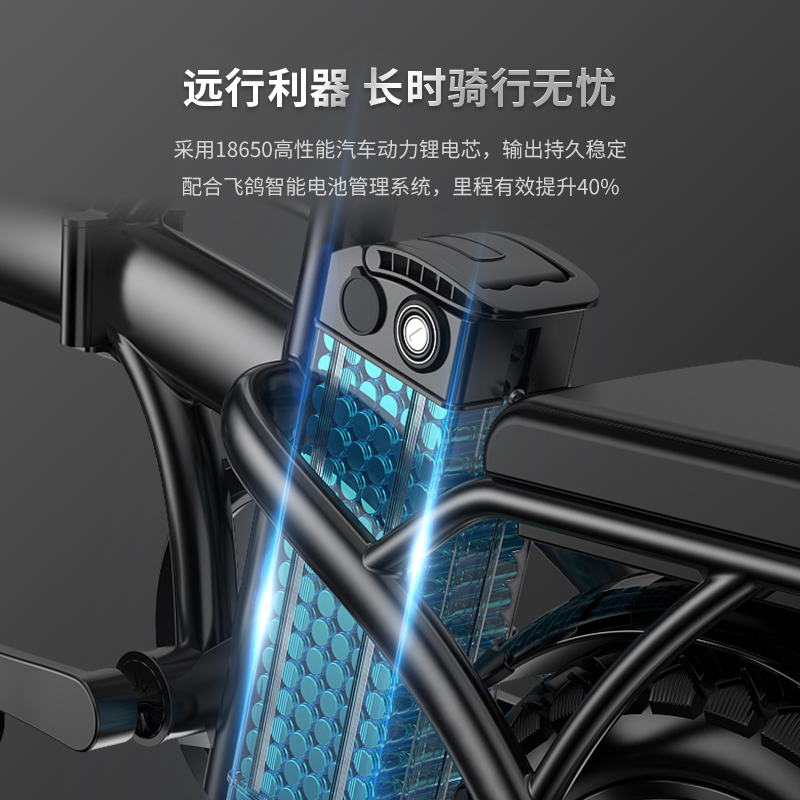 永久电动自行车Z8