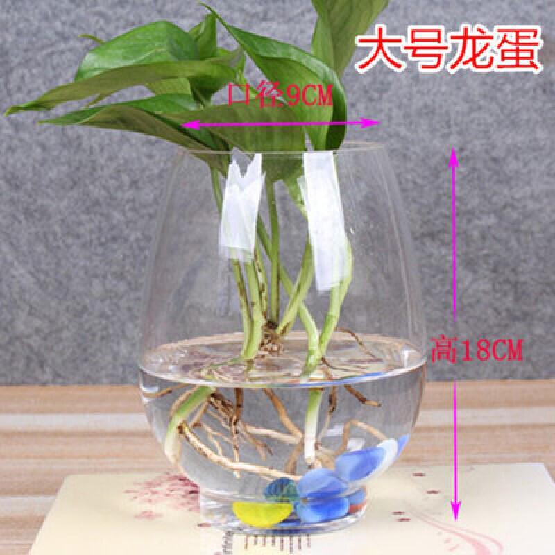 大号水培花盆绿萝水培玻璃圆球花瓶鱼缸透明水培植物器皿特大号龙蛋(送定直篮)大