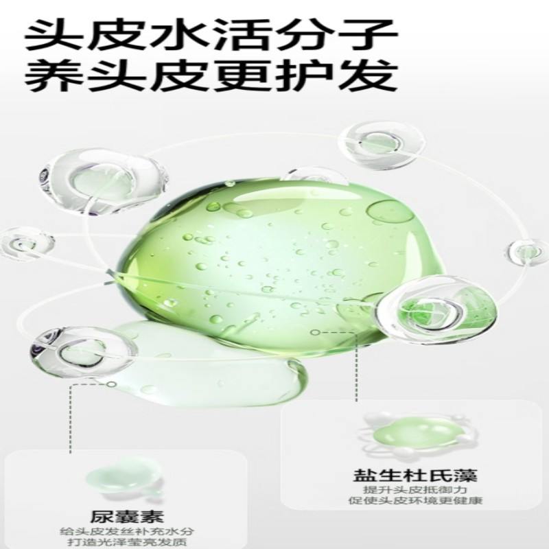柏缇(POTE)北非雪松控油蓬松洗发露 清爽去屑氨基酸洗发露 505ml(单位:瓶)高清大图