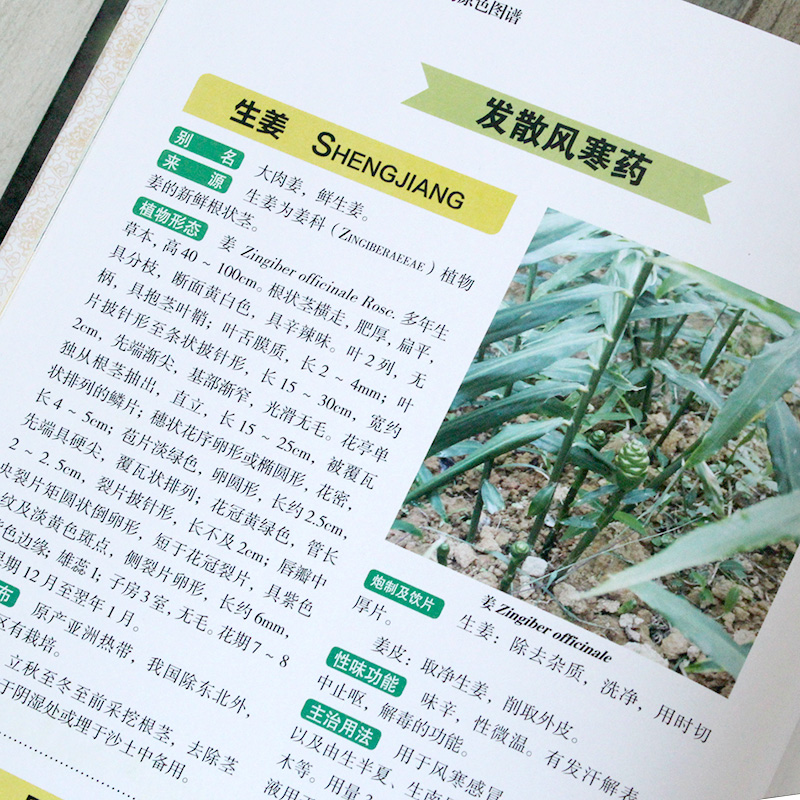 [正版]彩色图鉴精编中国药典中药原色图谱 中医书籍 精装彩图版 中医入门书籍 中医基础理论 中药学入门 书籍 养生保健高清大图