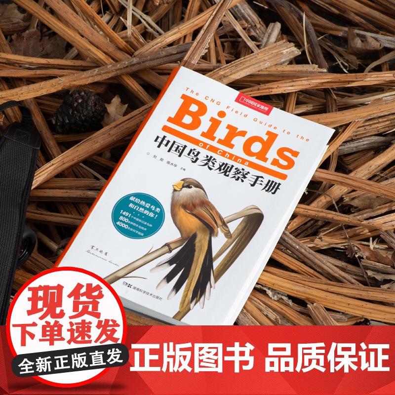 中国鸟类观察手册 中国鸟类行为动物科普图鉴 珍惜森林草原野鸟形态鸟类图鉴野生动物百科观鸟手册鸟类大全高清大图