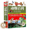 【醉染正版】彩图精装正版动物百科彩色图鉴 6-12岁科普读物青少年小学生科学课外读物书籍 动物百科全书大全集图书 动物-