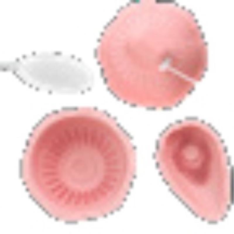 久爱吸乳房按摩器允吸震动女情性趣玩具成年人用品厂家一件代发高清大图