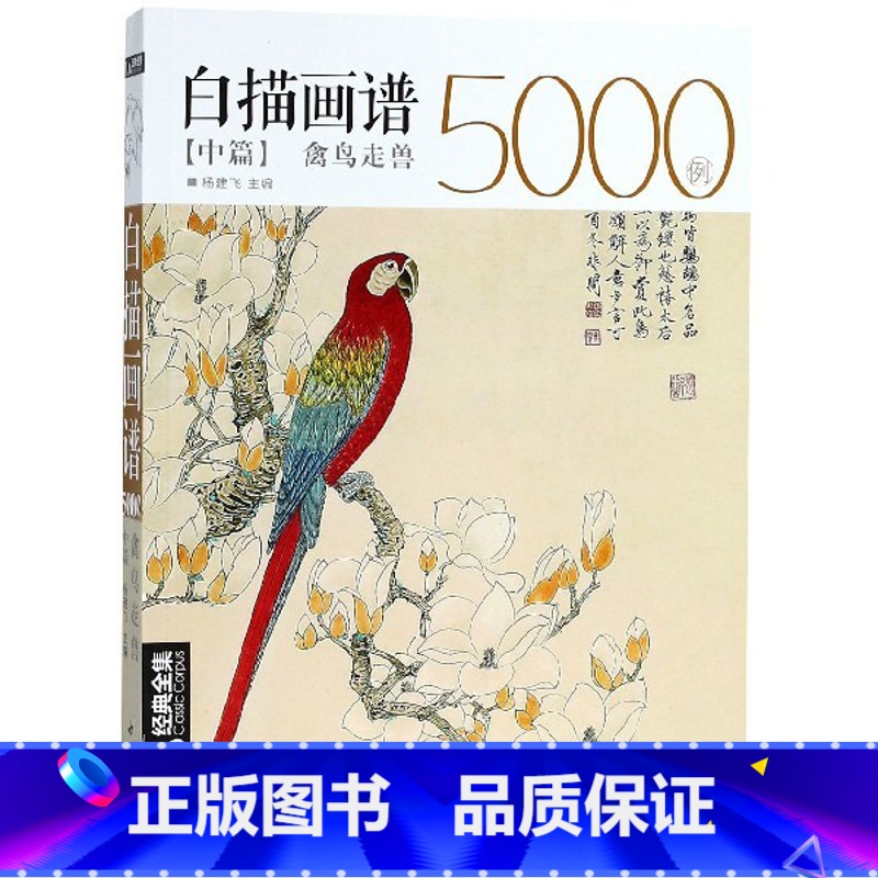 [正版]白描画谱5000例(中篇禽鸟走兽)高清大图