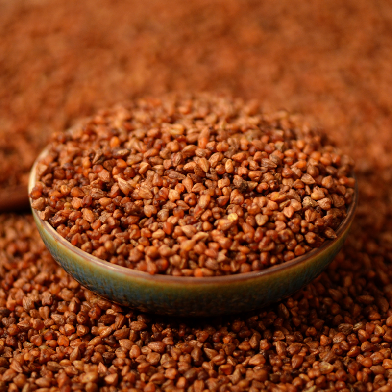 三罐装金珍珠黑苦荞茶全胚芽共1500克