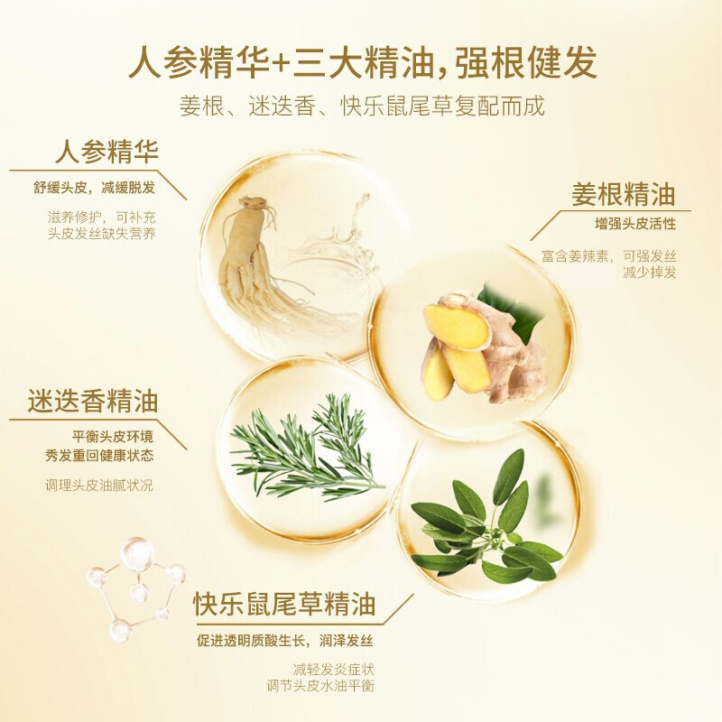 舒蕾洗发露参姜健发洗发水修护毛发男女通用洗头膏防断发改善干枯毛躁 生姜健发洗发露800ml高清大图
