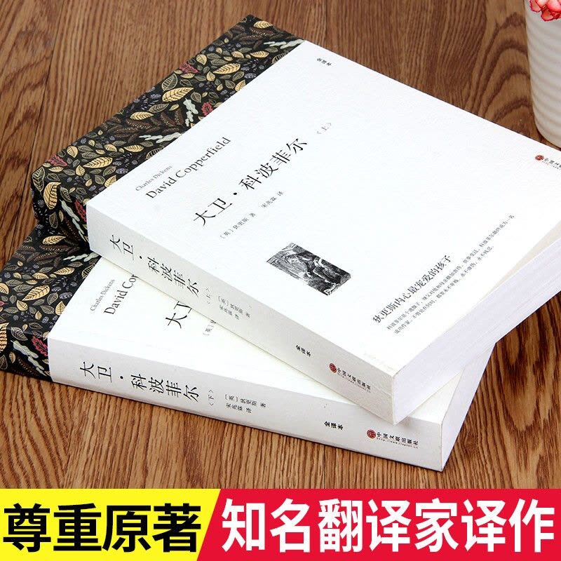 飘(上下册) [正版]高一阅读课外书大卫科波菲尔复活老人与海乡土中国红楼梦百年孤独高中阅读名著新语文课外书世界十大名著全图片