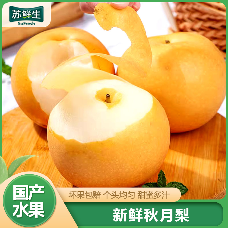 【苏鲜生】新鲜山东秋月梨 净重3斤单果250g+ 新鲜当季水果 现摘现发