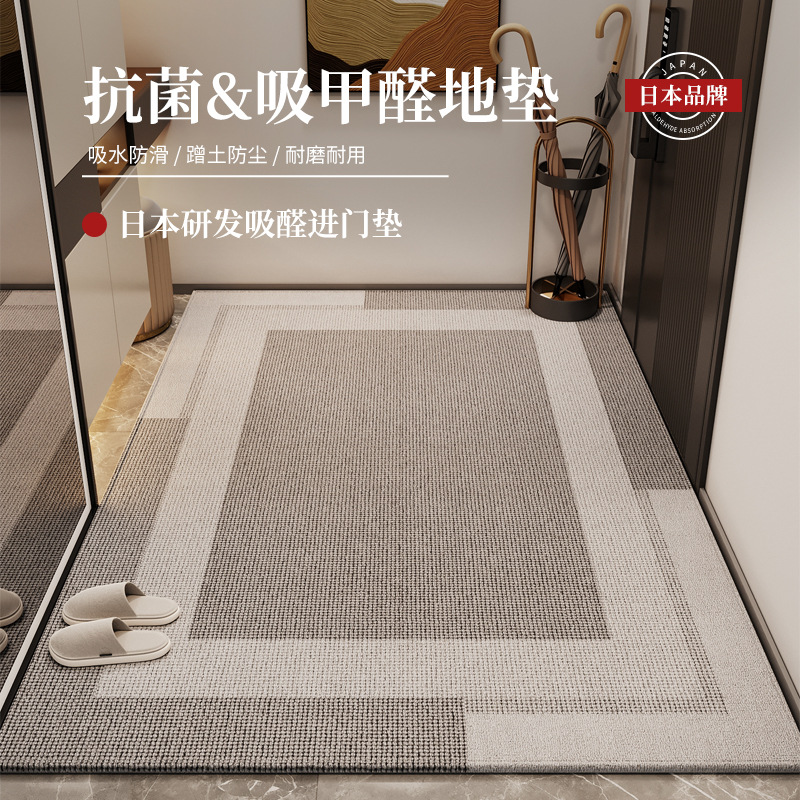 入户门地垫轻奢高级感玄关脚垫耐脏防尘防滑入门地毯进门门口家用高清大图