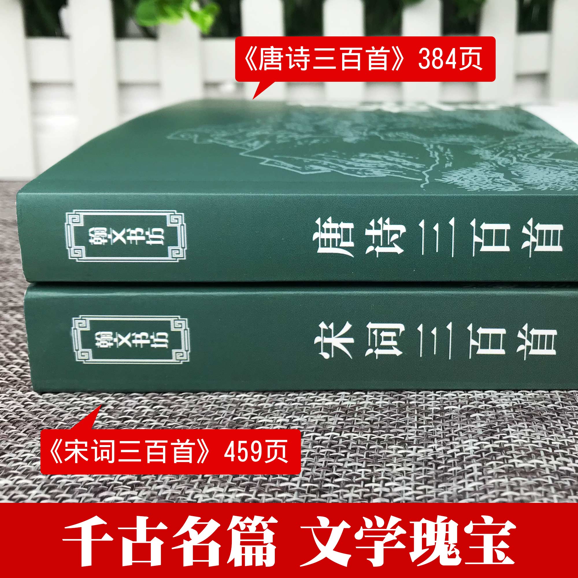 [正版]唐诗三百首宋词三百首全注全译全解全集中国古诗词大全集鉴赏赏析辞典诗经楚辞300首小学生初中生国学经典书籍古诗选高清大图