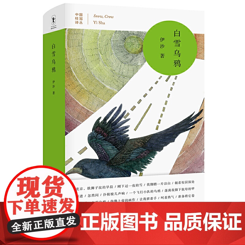 白雪乌鸦 伊沙 四川文艺出版社 正版书籍高清大图