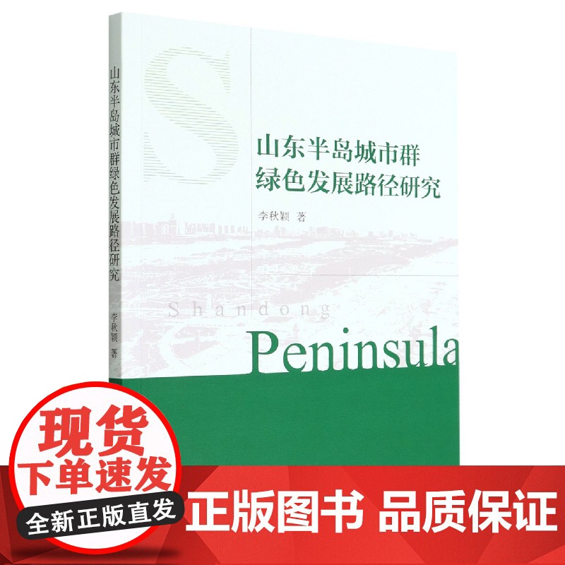 山东半岛城市群绿色发展路径研究高清大图