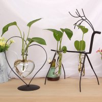 创意铁艺小清新绿萝水培植物玻璃瓶 桌面装饰花器插家居花瓶摆件