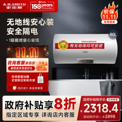 AO史密斯80升电热水器 无地线可安装 专利安全隔电 金圭内胆 速热节能 一键中温保温E80VDS 预约洗浴