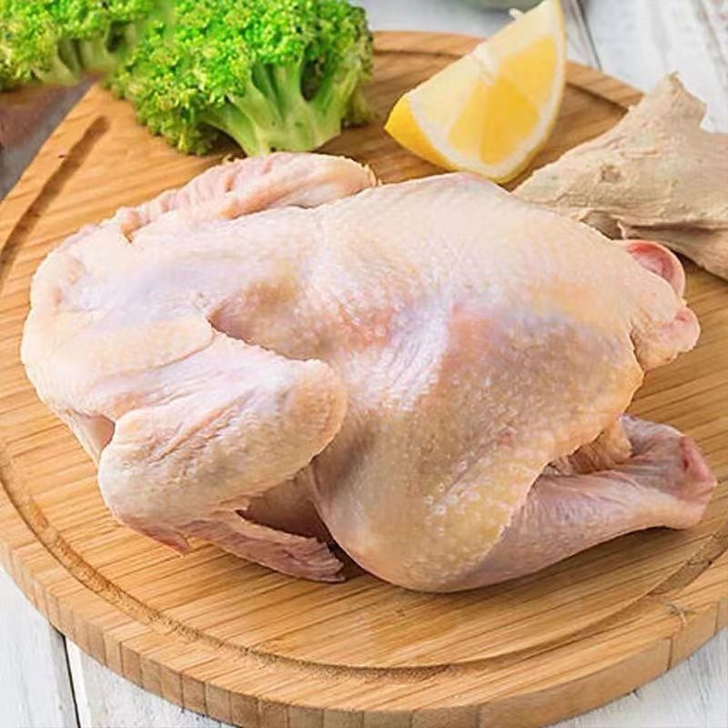 散养三黄鸡批发白条鸡农家老母鸡现宰活杀土鸡笨柴鸡一只装750g只中