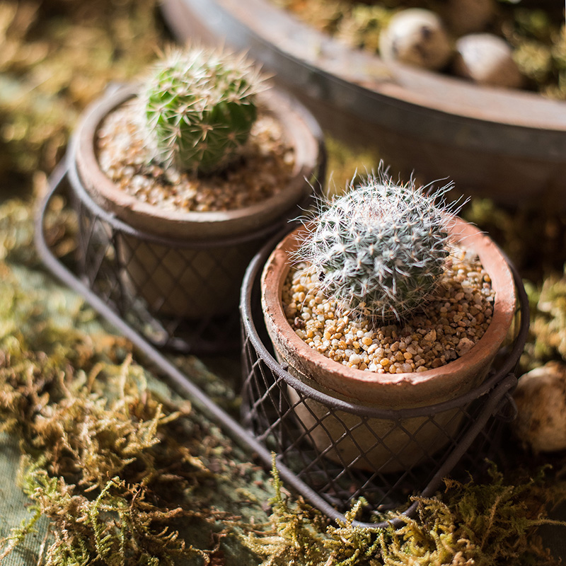 家柏饰(CORATED)泥苔红陶花盆 铁线提篮装饰收纳 花器杂货花园庭院阳台高清大图