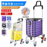 爬楼梯手拉车家用拖车折叠菜篮拉杆车拉货买菜车小拉车便携|21新款可坐可刹车双把手八轮加粗两用