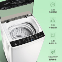 TCL 全自动波轮小型 洗衣机 6公斤波轮 TB- V60A 不含配送上门(单位:台)