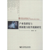 醉染图书产业集群化与创新能力提升机制研究9787563554850