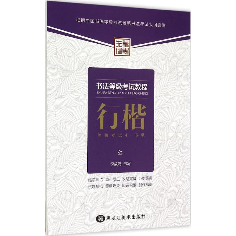 醉染图书书法等级教程9787531862734高清大图