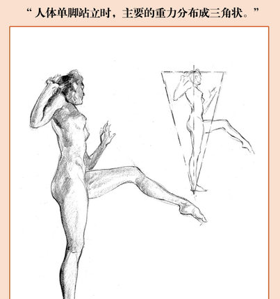[醉染正版]人体素描 安德鲁路米斯经典美术课 西方经典美术技法译丛 伯里曼高徒人体结构绘画教学 正版人体静物写生速写临摹高清大图