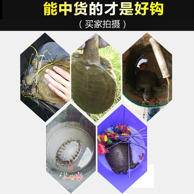 甲鱼钩两头针防脱套装钓甲鱼针八钩地插线组成品钓鳖钩双针直针