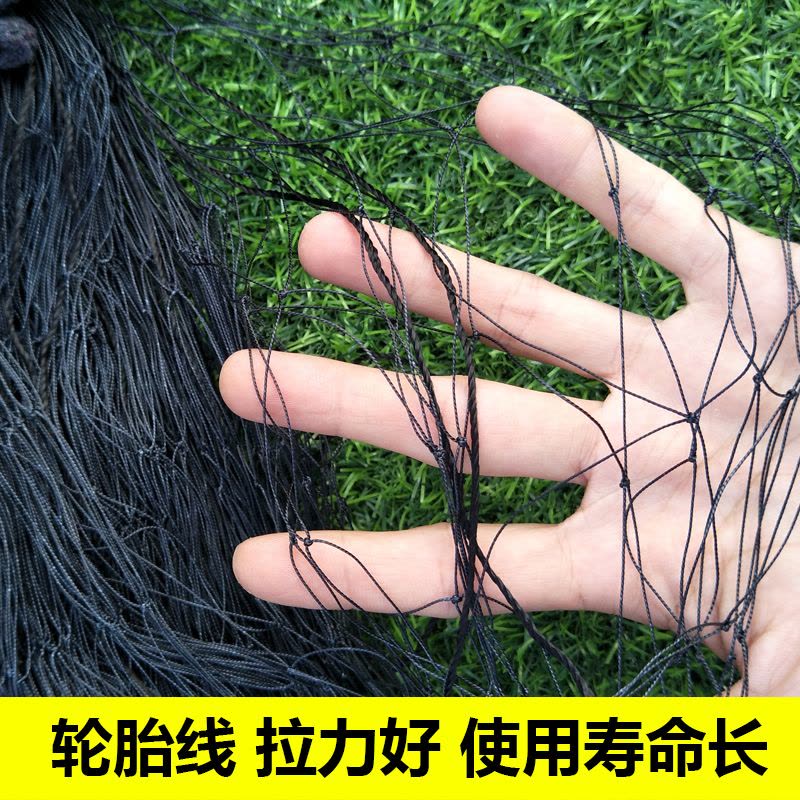 鼎立（DINGLI）野鸡网捕野鸡野鸡套网野鸡网捕捉野鸡网 捕捉野鸡工具野鸡拉网防鸡网围网防鸟网网具图片