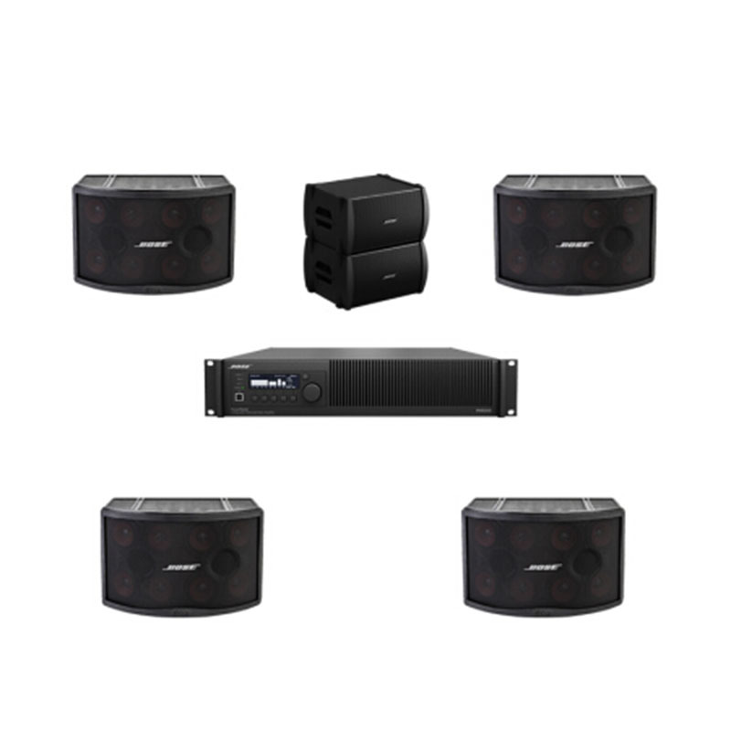 博士（bose） 音响 音箱Panaray 802 Series IV KTV卡包 卡拉OK 音箱 豪华套装三