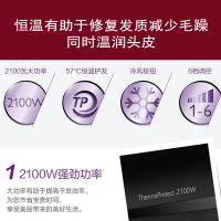 飞利浦(Philips) 电吹风机家用恒温养护发速干2100w大功率冷热风易于造型理发廊店专用吹风机筒 HP8230黑色