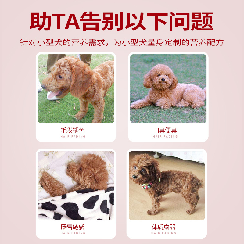 YaHo亚禾 狗粮泰迪金毛拉布拉多比熊小型犬幼犬成犬通用型1斤