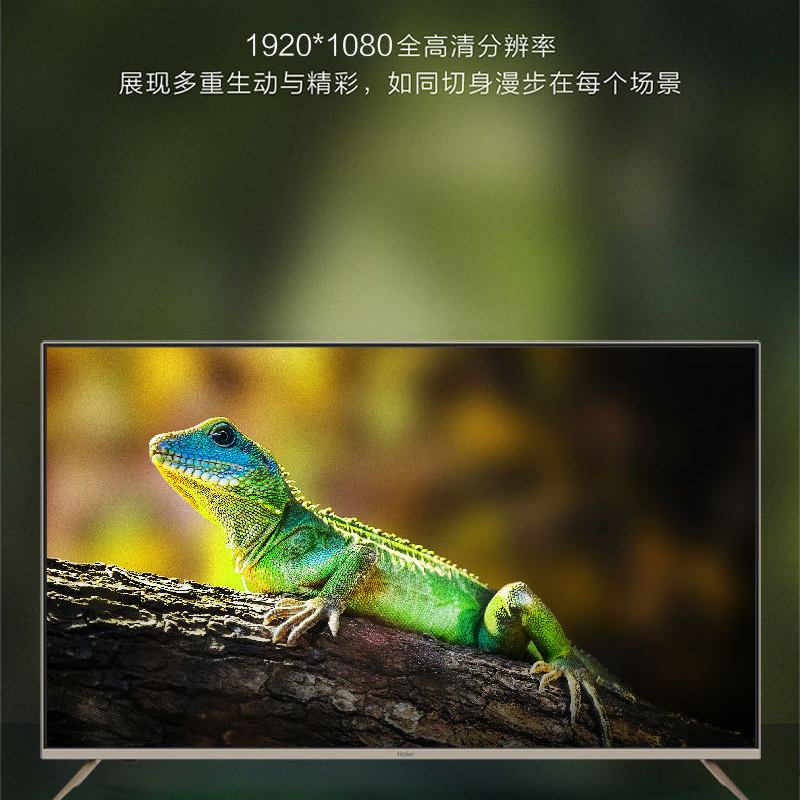 海尔(Haier)电视 WIFI智能高清网络液晶平板电视机显示器 43U1 43英寸全高清金色边框网络电视(G)
