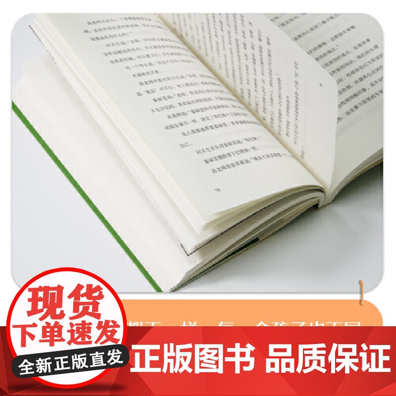 方刚儿童心理成长小说系列:奇怪的转校生(我就是我,不一样的烟火! 帮孩子获得强大的内在力量。)高清大图