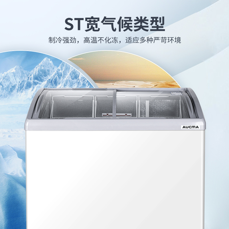 澳柯玛(AUCMA) 展示柜 SD-280 280升-30℃度商用大容量大型保鲜冰柜
