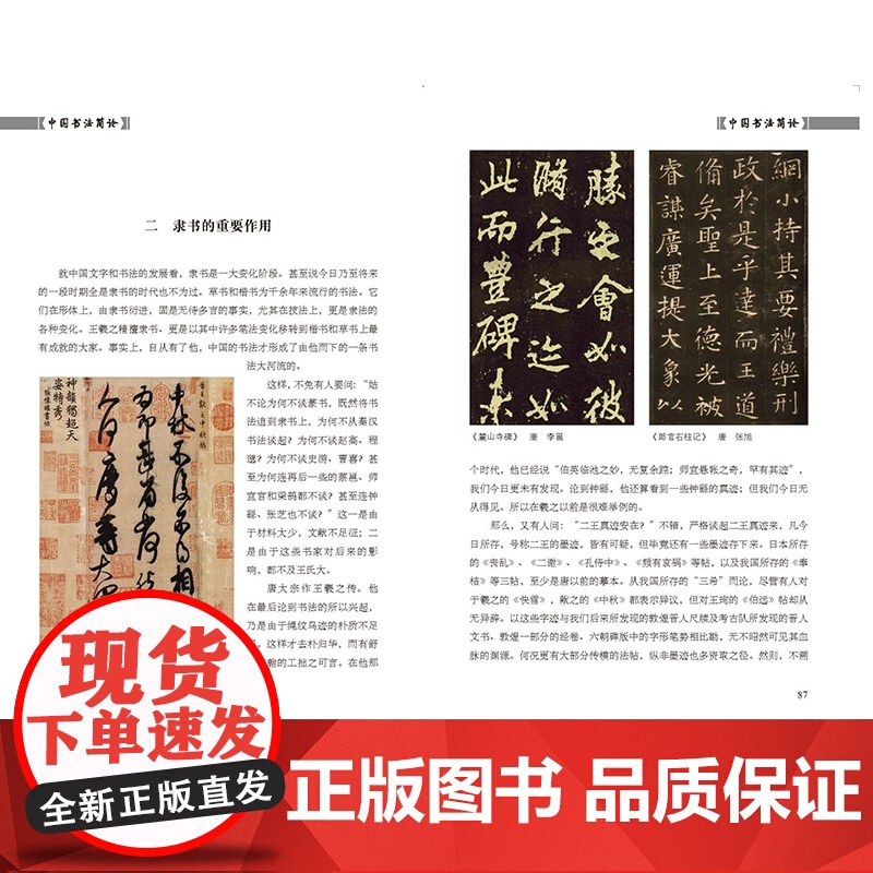 民国书法名家艺丛中国书法简论 潘伯鹰著书法篆刻临摹教程学习书法入门教程书籍初学自学书法练习教材竖排字体 上海人民美术出版高清大图