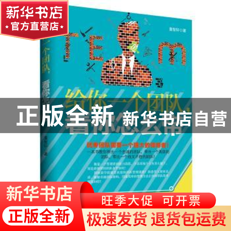 正版 给你一个团队,看你怎么带 董智轩著 中国商业出版社 978750高清大图