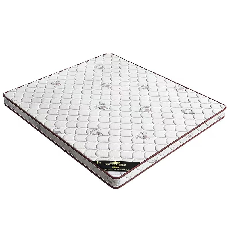 隆博盛景单人床垫1000*2000*60mm高清大图