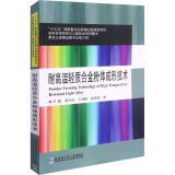 耐高温轻质合金粉体成形技术