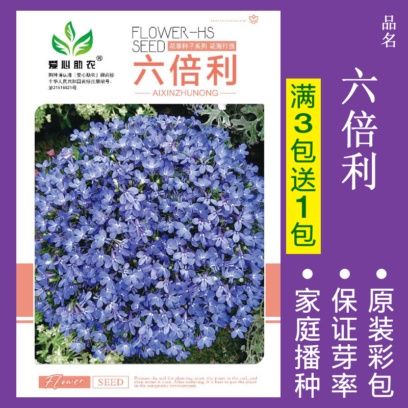 【补贴10%】花种子四季播盆栽雏菊向日葵薰衣草太阳花种籽孑大全虞美人种植 六倍利约200粒 均码