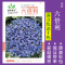 [补贴10%]花种子四季播盆栽雏菊向日葵薰衣草太阳花种籽孑大全虞美人种植