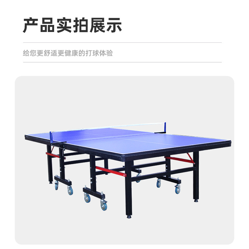 赛伯泰克(Cybertect) 乒乓球桌套装室内外球台可折叠网架可移动含球拍围挡球 AX1532(单位:套)高清大图