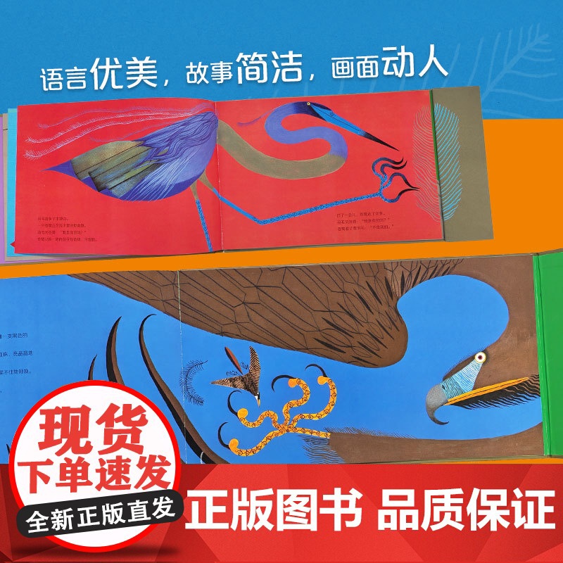 中少阳光图书馆 羽毛高清大图