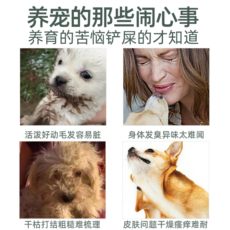 雪貂留香 狗狗沐浴露 植物氨基酸系列白毛犬香波500ML 身体除臭 宠物用品 植物精油沐浴露