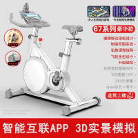 闪电客磁控智能动感单车家用室内健身车健身房器材运动自行车