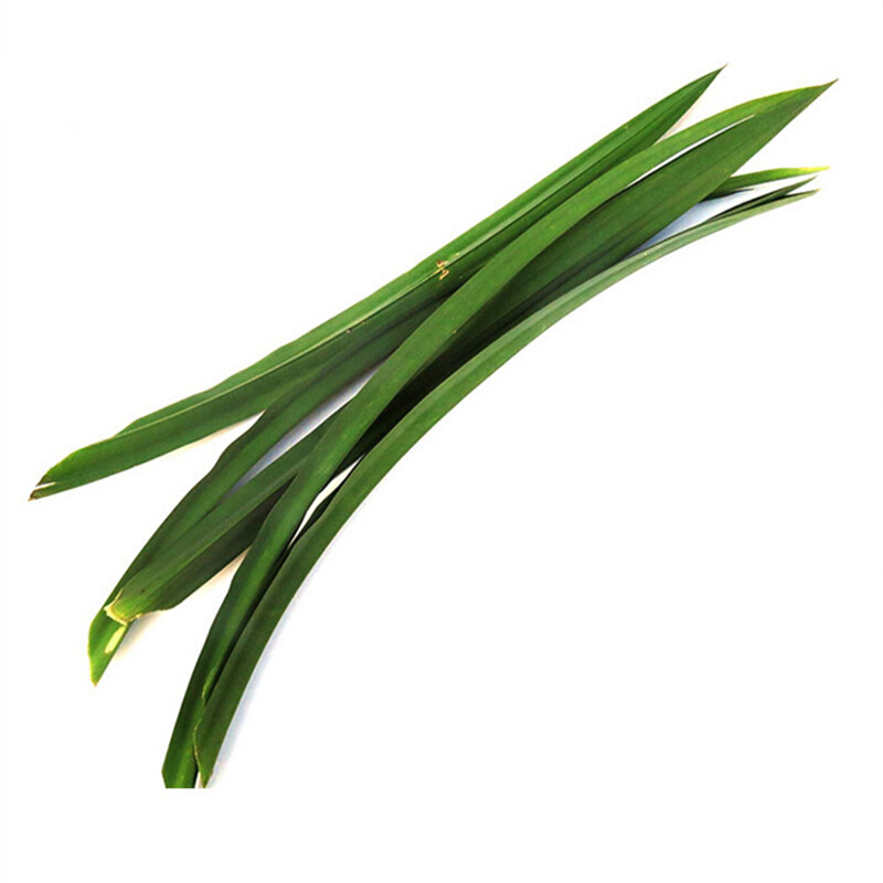 七果果 【xj】斑斓叶 新鲜香兰叶 斑兰叶班兰叶芒果糯米饭糕点可开发