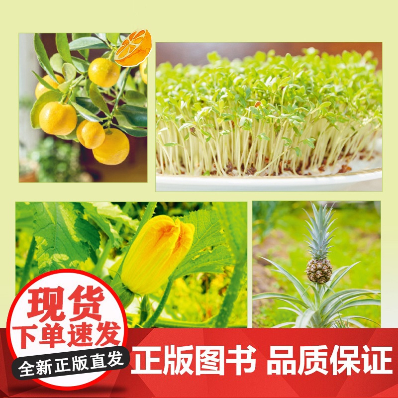生活-零浪费种菜 种菜养花园艺生活阳台厨房家庭零浪费 菜根别丢 一盆土一杯水 种出新菜 一步一图 零基础也可以轻松上手高清大图