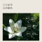 浅香 百合氨基酸沐浴露 500g+500g [qianx4102]
