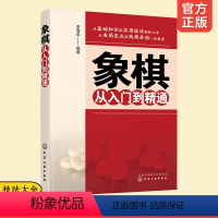 【正版】 象棋从入门到精通 初学者基本知识杀法实用残局中局战术技巧 象棋入门知识残局杀法布局战术全面掌握 象棋速 全速