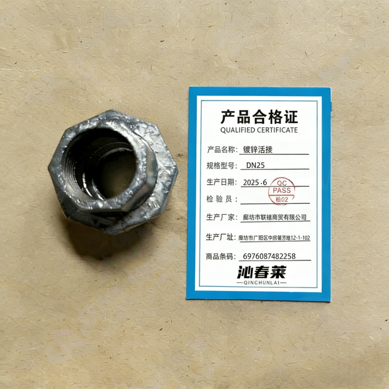 沁春莱 镀锌活接 DN25 个高清大图