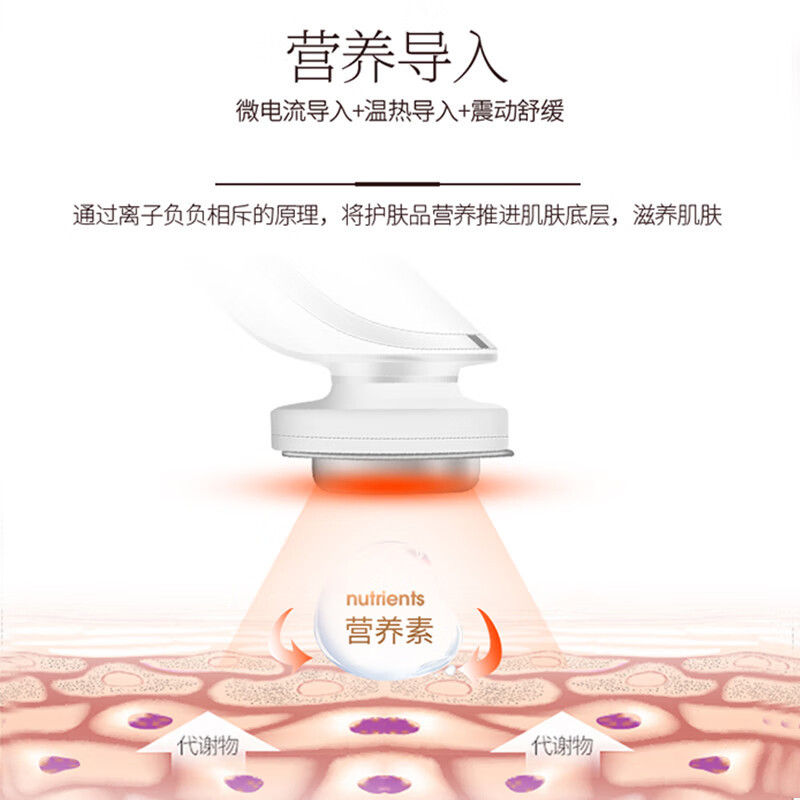 金稻美容仪家用脸部提拉紧致按摩器消除法令纹淡化颈纹蓝光导入仪KD8800A生日礼物 乳白色KD8800A高清大图