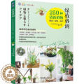 【醉染正版】养花那点事儿 绿植格调:250种清新植物挑选·装饰·养5